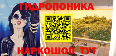 гидропоника Кулебаки